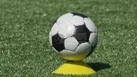 开云体育 资讯 124727 jlt