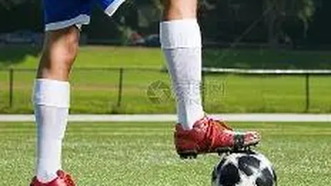 开云体育 产品 101111 sfi