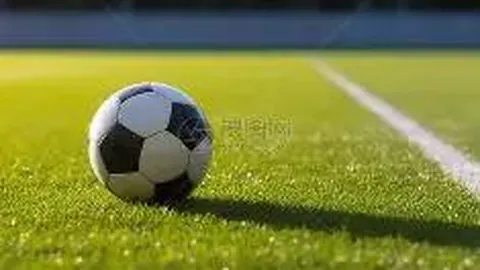 上海海港以4-0大胜成都蓉城进足协杯八强，蓉城派替补应战，卡隆、武磊双响，王燊超、吕文君破门助威